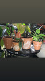 White Henna Terra Cotta Pots