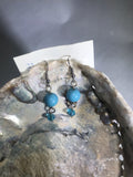 Turquoise Drop Earrings with Stainless Steel Ear wires